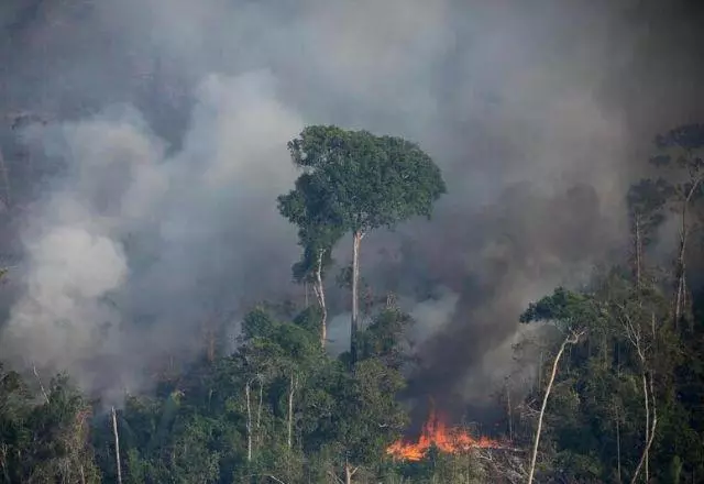 Pará, Mato Grosso e Rondônia lideraram a destruição pelo fogo em novembro | Greenpeace

