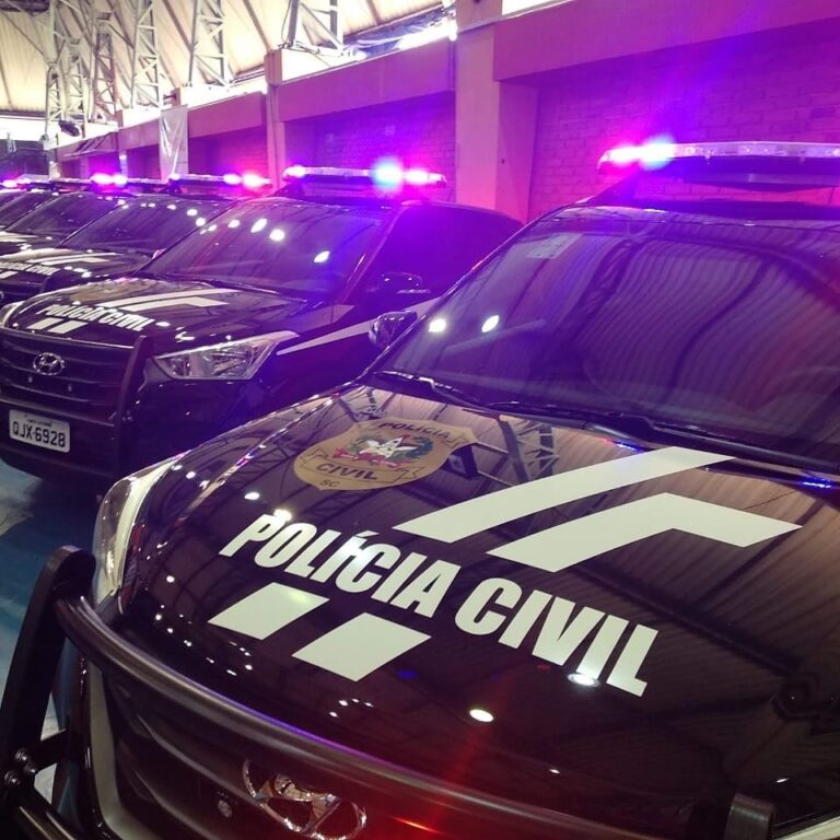 Foto: Polícia Civil/Divulgação 