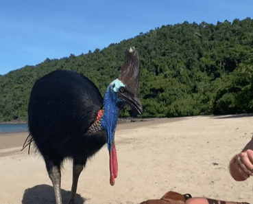 Foto: Reprodução/TikTok 