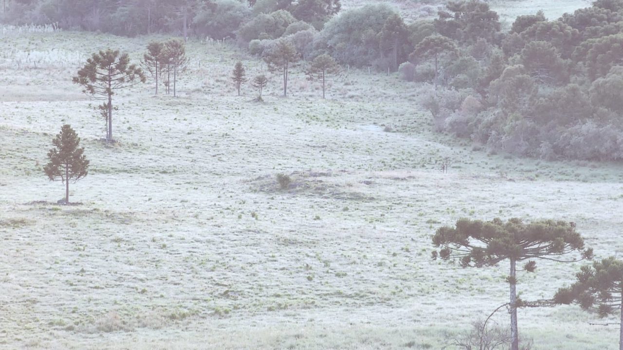 Serra Catarinense amanhece coberta de gelo na última geada do ano