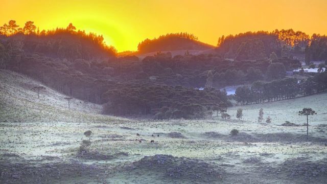 Serra Catarinense amanhece coberta de gelo na última geada do ano