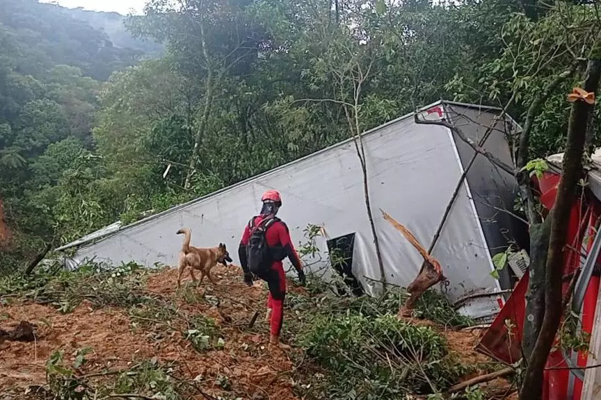 Foto: Albari Rosa/AEN Governo do Paraná