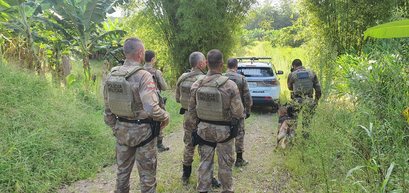 Foto: Polícia Militar de Santa Catarina (PMSC) / Divulgação 