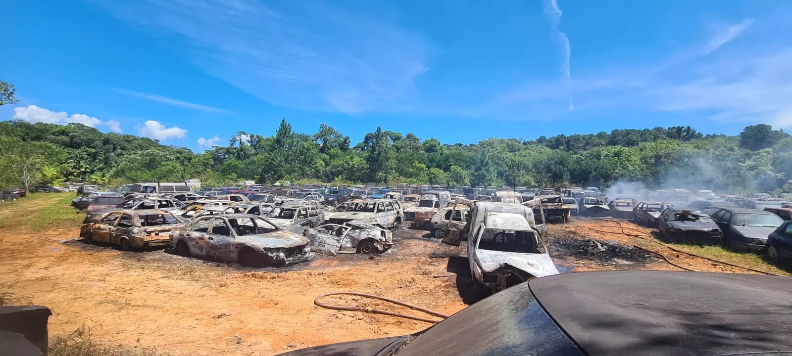 Foto: Polícia Militar | Reprodução