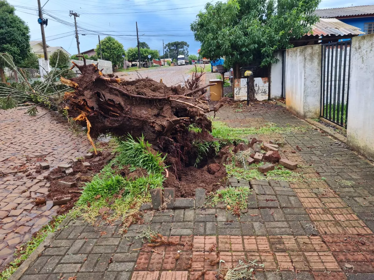 Fotos: Defesa Civil de Santa Catarina 