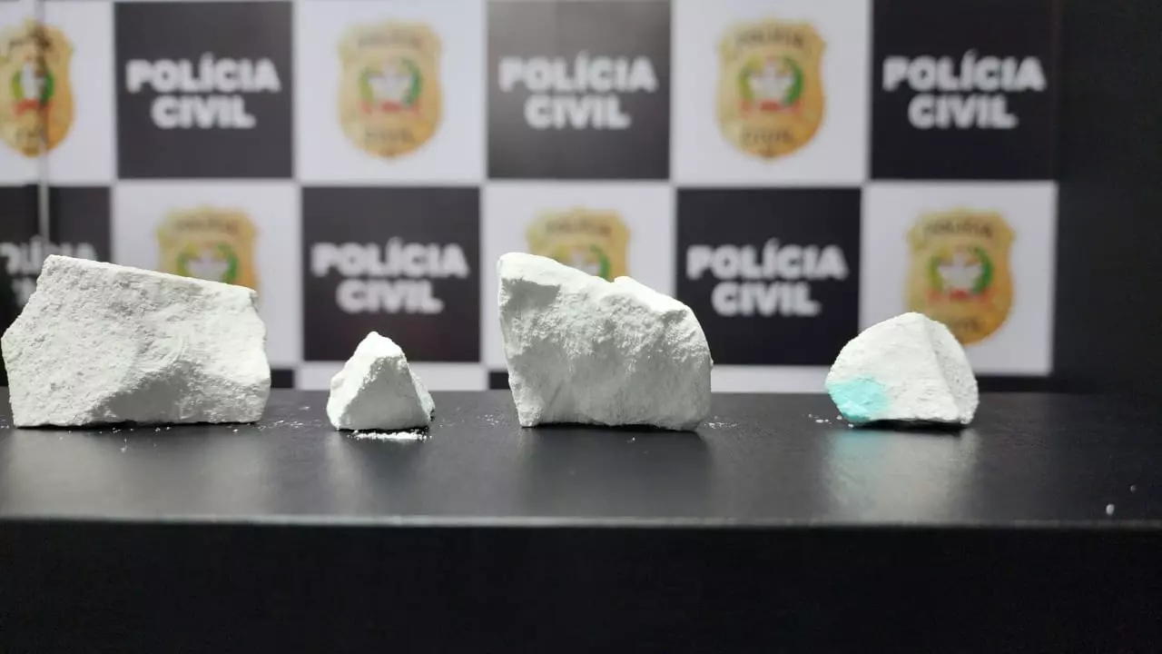 Foto: divulgação/Polícia Civil