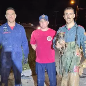 Imagem: Corpo de Bombeiros Militar | Divulgação