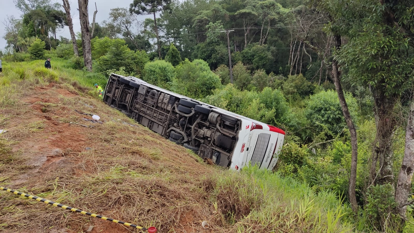 Foto: PRF Paraná/Divulgação 