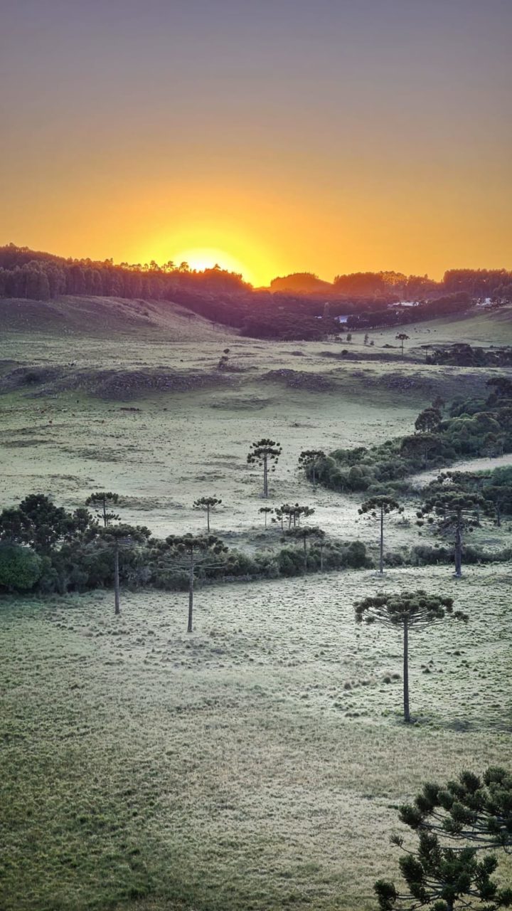 Primeira geada de 2023 é registrada na Serra Catarinense