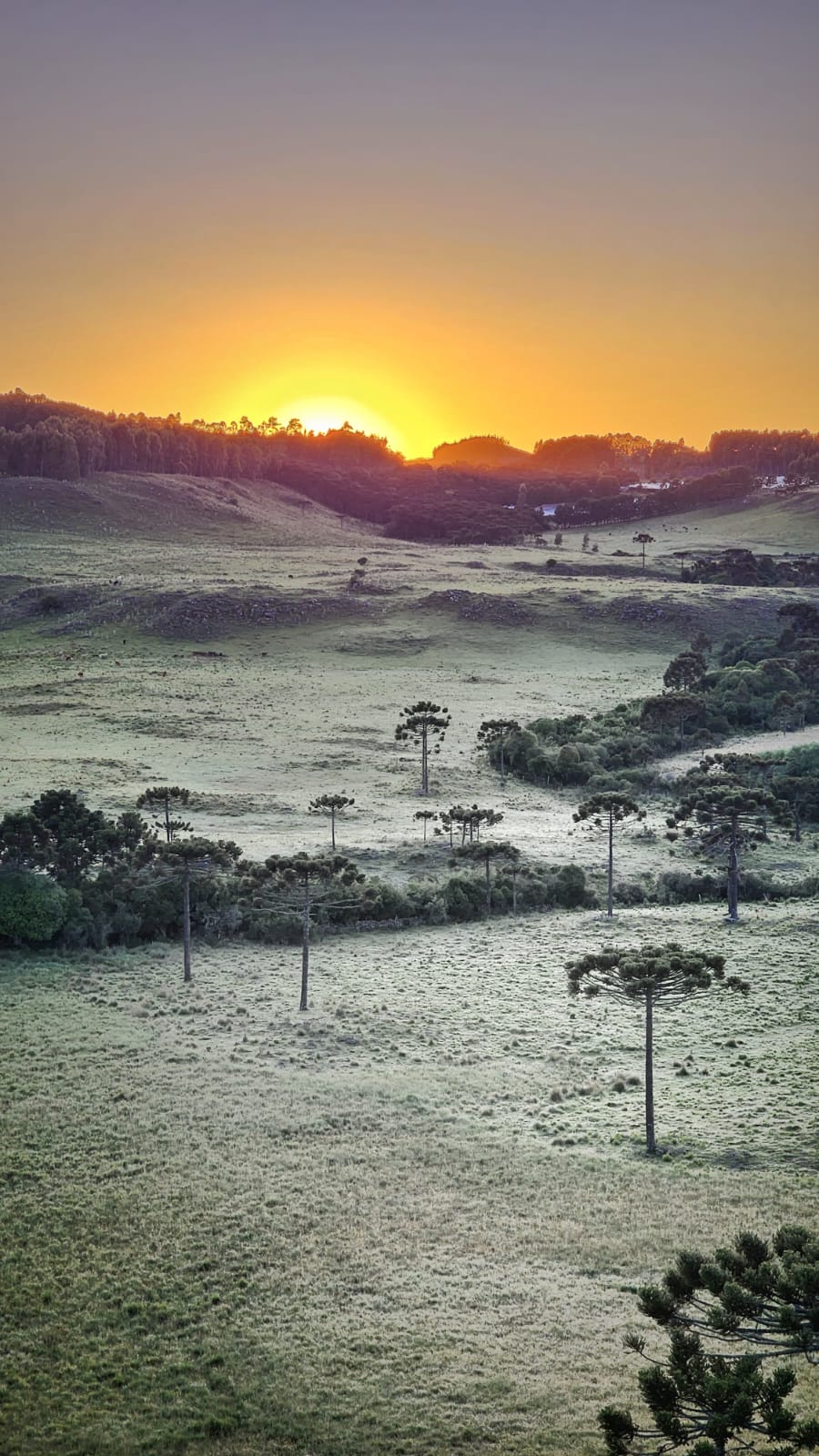 Foto: Mycchel Legnaghi / @saojoaquimonline.com.br