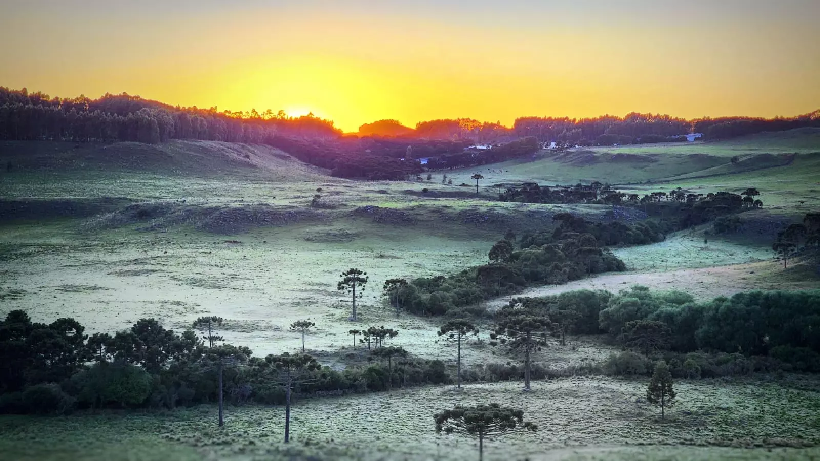 Foto: Mycchel Legnaghi / @saojoaquimonline.com.br