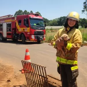 Foto: Corpo de Bombeiros | Reprodução