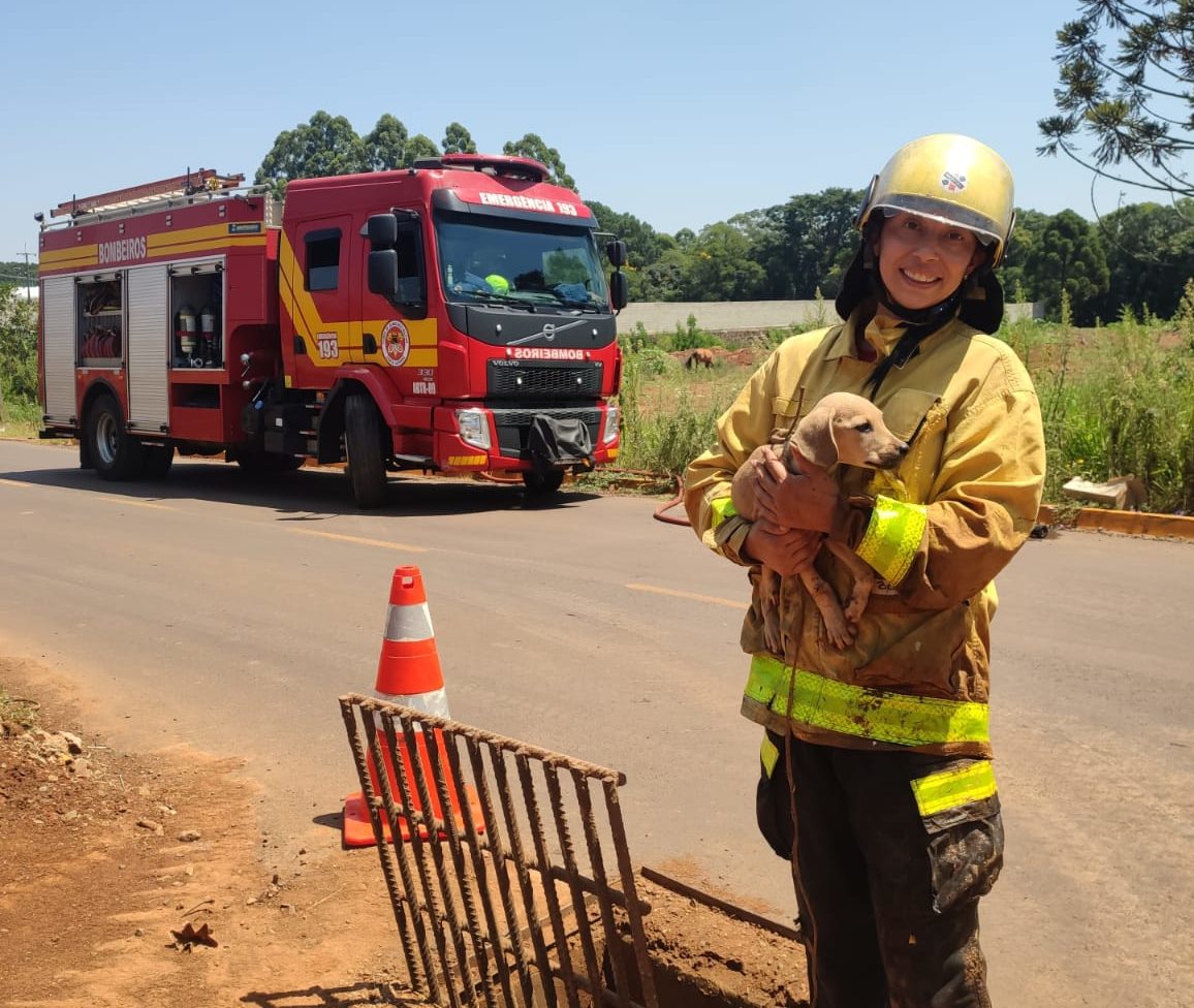 Foto: Corpo de Bombeiros | Reprodução