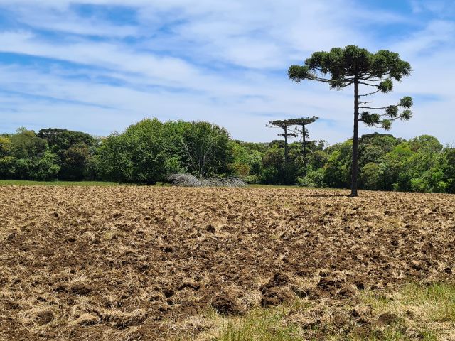 Área de sobrevoo e coleta de amostras de solo na fazenda da Estação Experimental da Epagri de Lages (Fotos: Divulgação / Epagri)