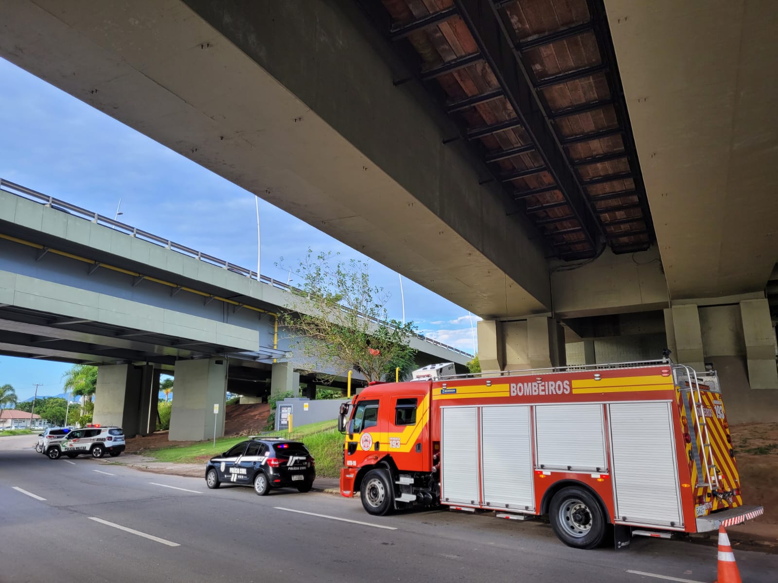 Foto: Guarda Municipal/Divulgação 