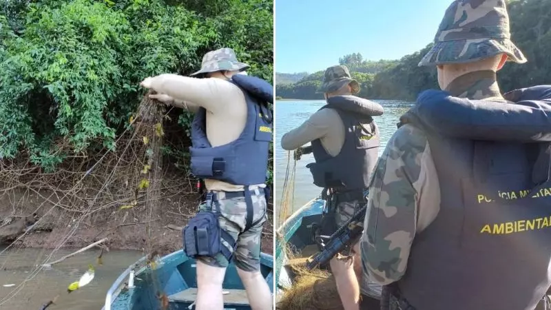 Foto: Polícia Militar Ambiental, Divulgação