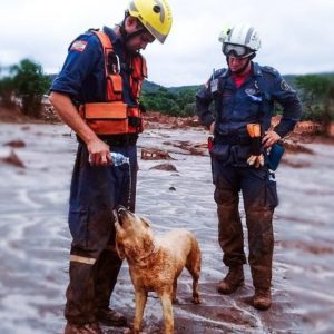 Registro em Mariana, Minas Gerais. Foto: CBMSC | Divulgação