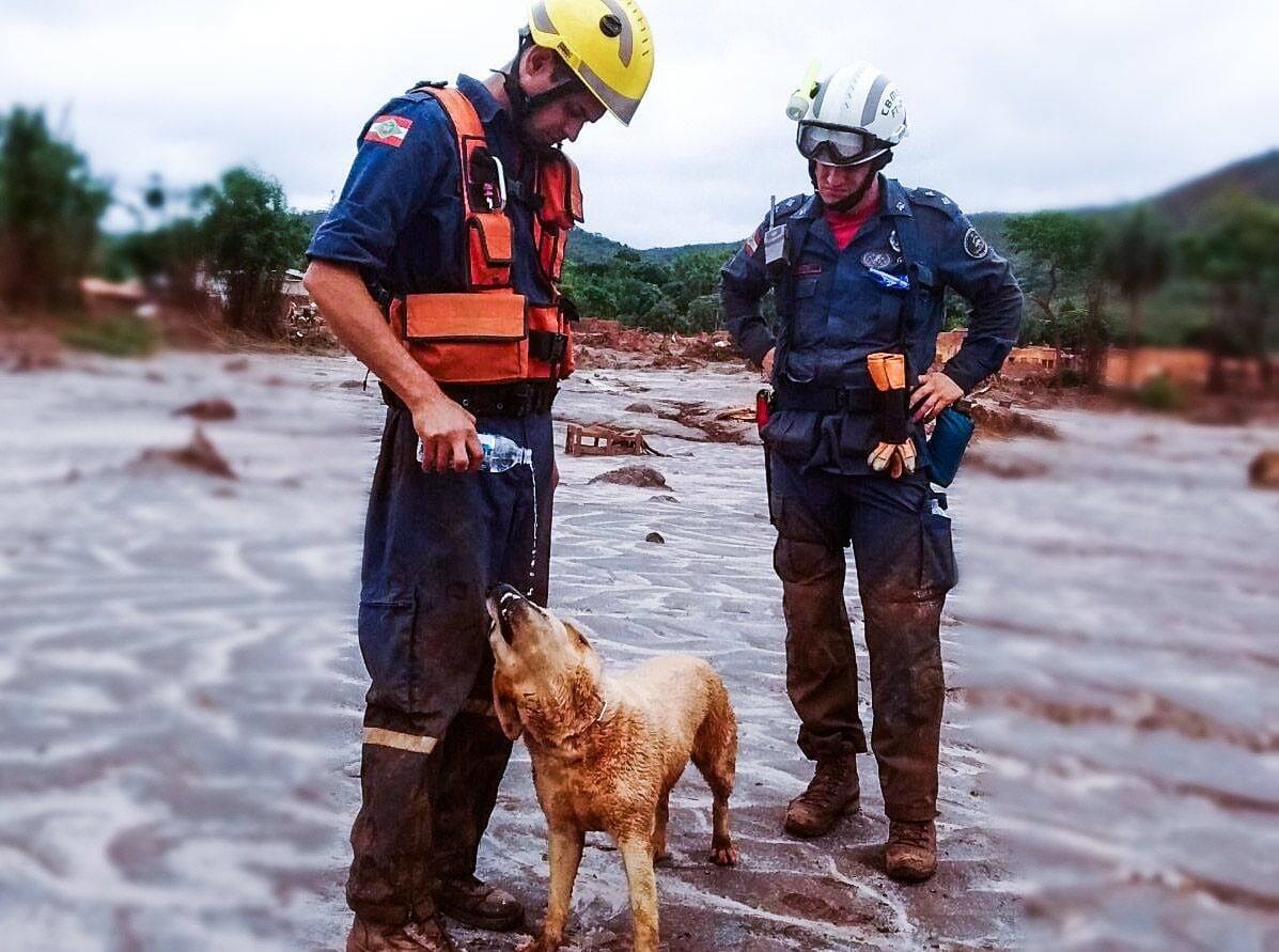 Registro em Mariana, Minas Gerais. Foto: CBMSC | Divulgação