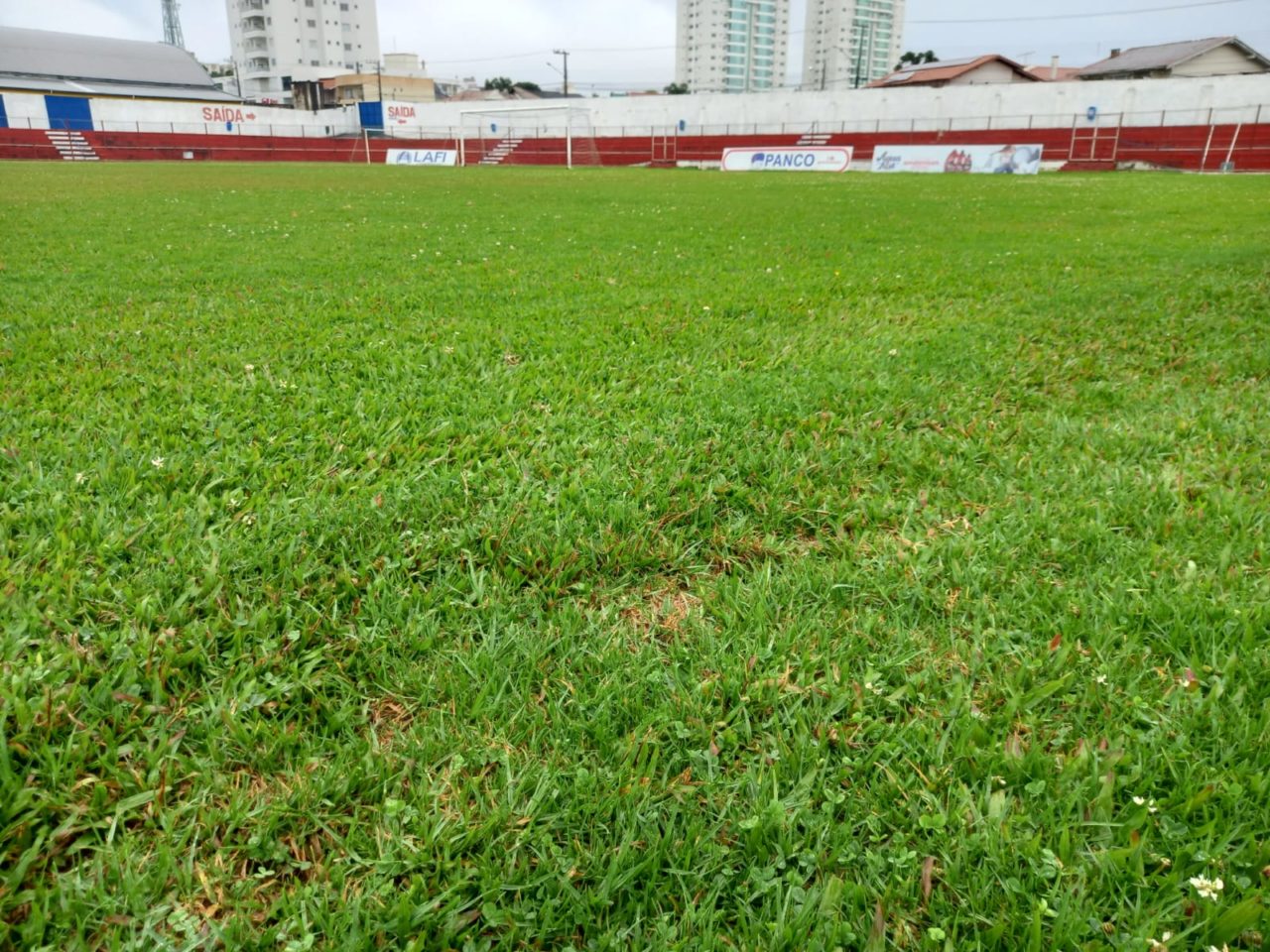 Novo gramado do estádio Tio Vida custa 200 mil reais