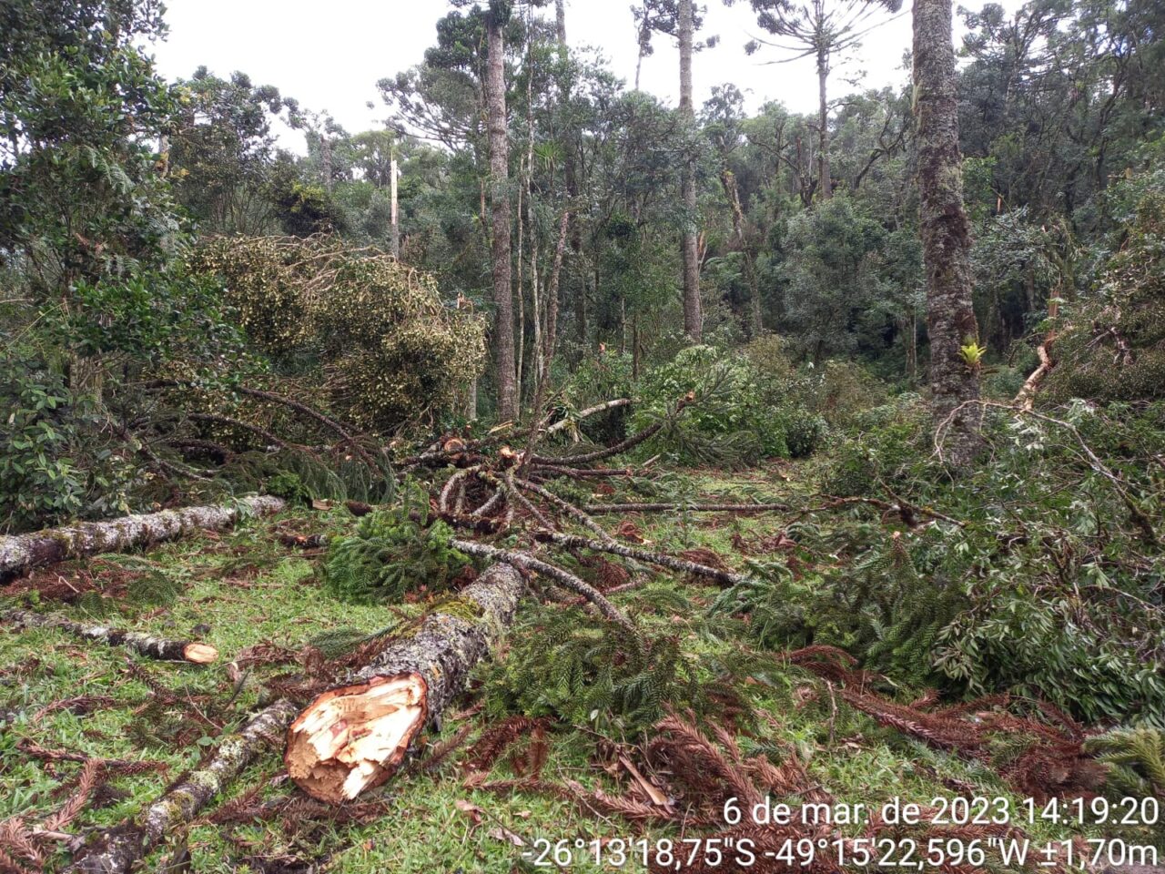 Defesa-Civil-confirma-tornado-em-cidade-catarinense-imagens-impressionam-3