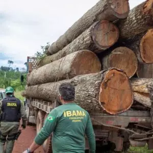 Foto: Vinicius Mendonça/Ibama