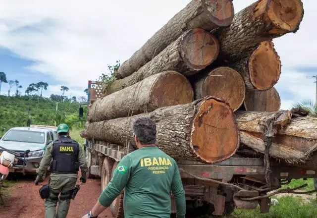 Foto: Vinicius Mendonça/Ibama