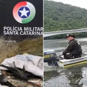 Foto: Polícia Militar Ambiental