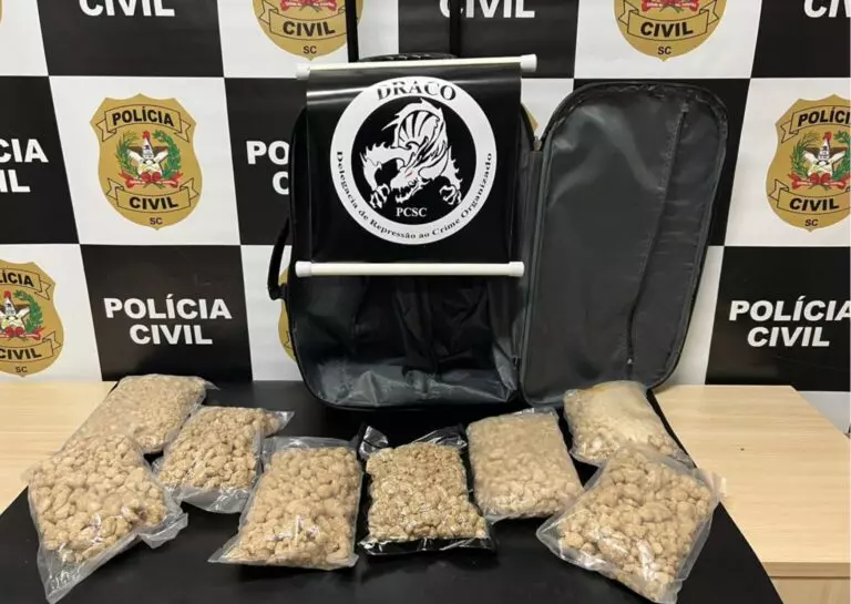 Foto: Polícia Civil | Divulgação