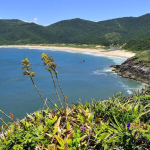 Praia da Lagoinha do Leste, em Florianópolis |  Foto - Prefeitura de Florianópolis, Divulgação