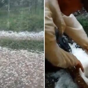 Serra Catarinense tem forte chuva de granizo no último dia do verão - Foto: Daniel Buss e Redes Sociais