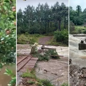 Foto: Sérgio Felipe Rodrigues e Prefeitura Municipal de Bom Jardim da Serra