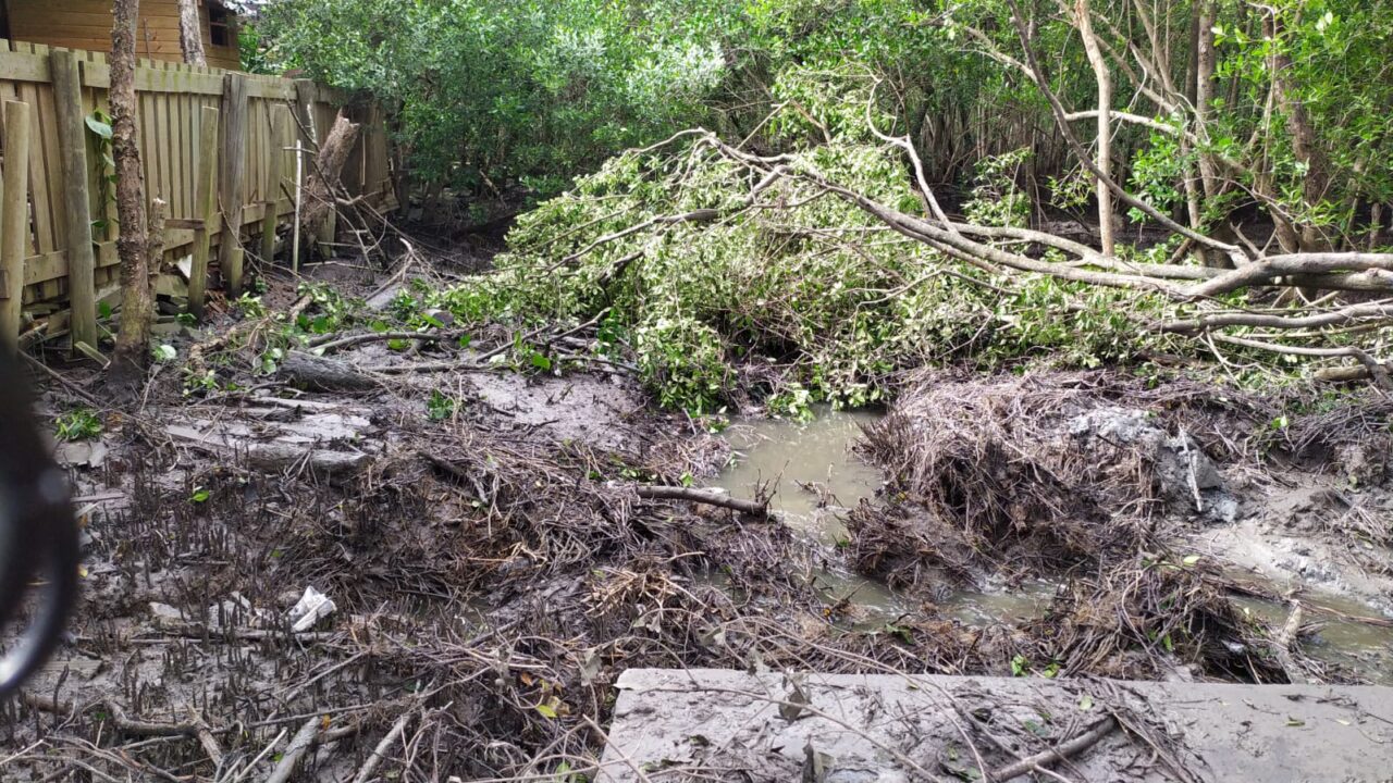 Obra de limpeza do Rio Tavares foi embargada por não atender critérios ambientais, diz ICMBio