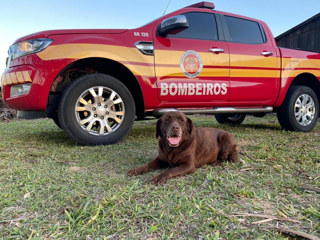 Imagem: Corpo de Bombeiros | Divulgação