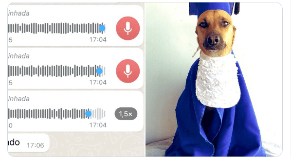 Bob na sua formatura na escola anterior. Foto: Reprodução/Twitter 