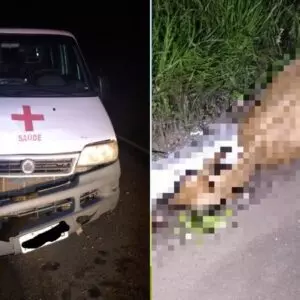 Foto: Polícia Militar Rodoviária (PMRv)