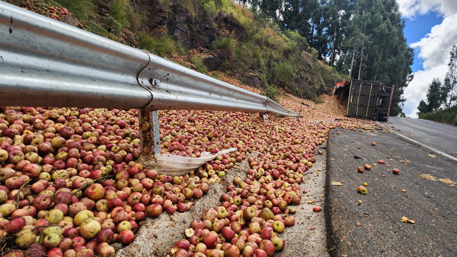 Foto: Mycchel Legnaghi/São Joaquim Online