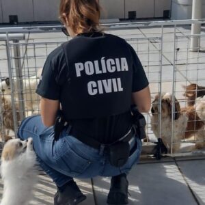 Foto: Polícia Civil de Santa Catarina (PCSC) / Divulgação 