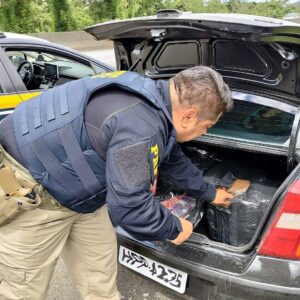 Foto: Polícia Rodoviária Federal (PRF) / Reprodução 