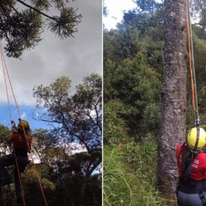 Foto: Bombeiros Voluntários de Itaiópolis