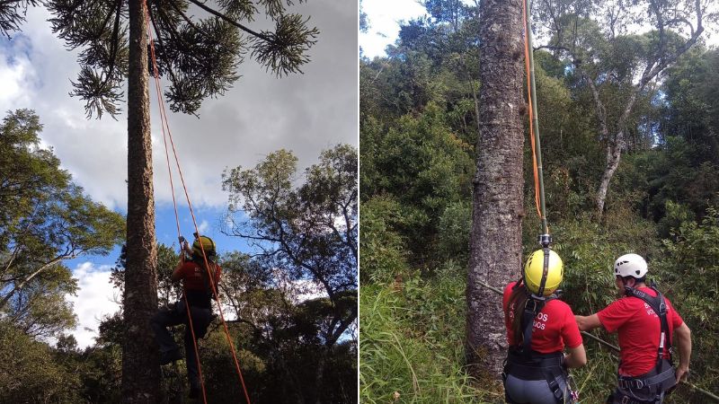 Foto: Bombeiros Voluntários de Itaiópolis