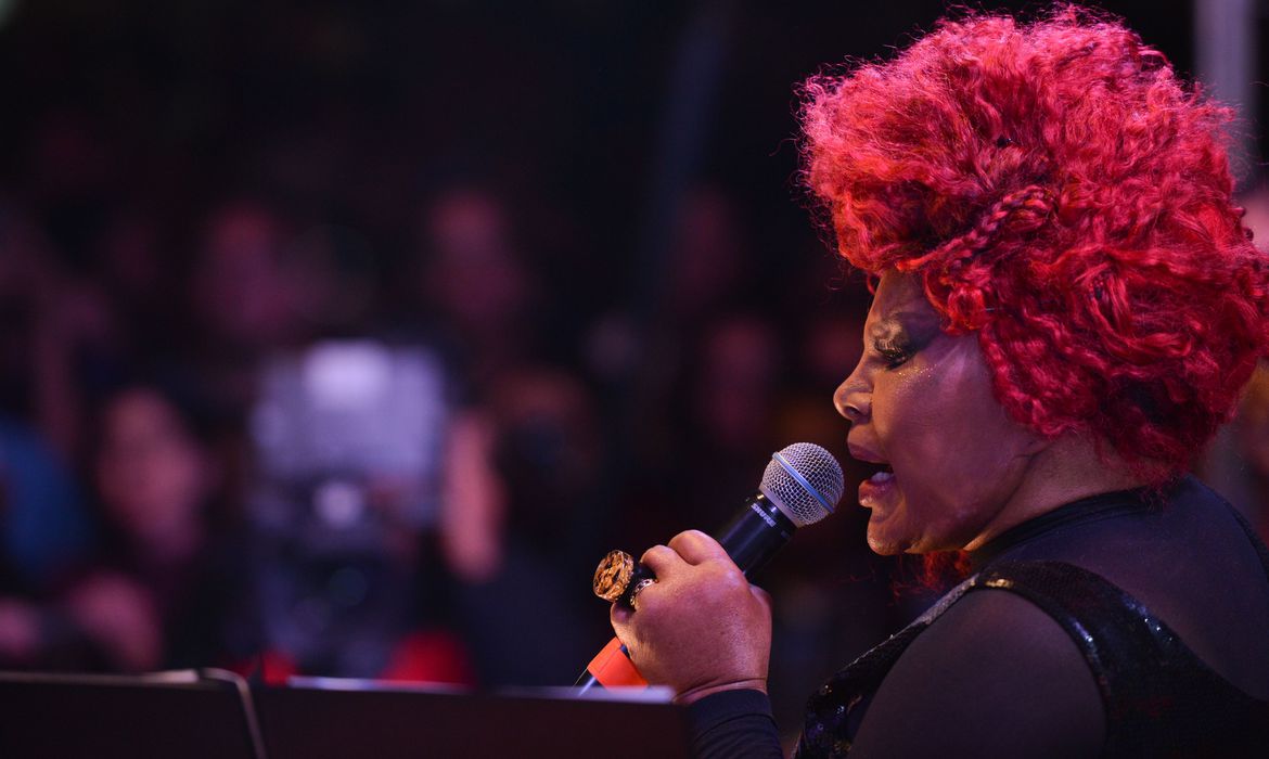 A cantora Elza Soares, em show. (Marcello Casal Jr/Agência Brasil)