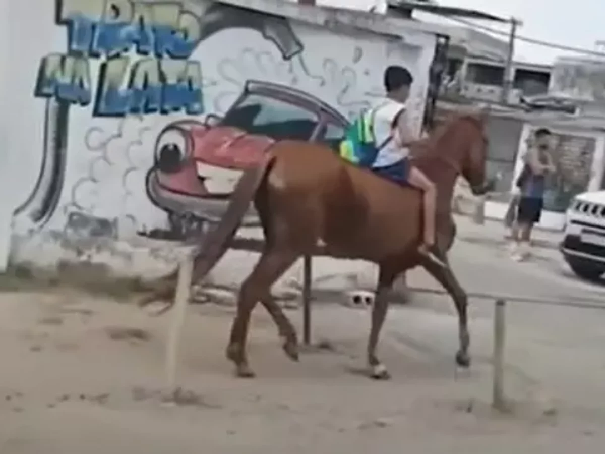 VÍDEO: Menino vai a cavalo à escola e mãe só descobre após vídeo viralizar