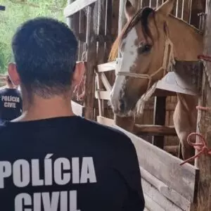 Foto: Polícia Civil | Divulgação