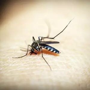 Xanxerê registra suspeita da primeira morte por dengue