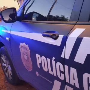 Foto: Polícia Civil de Santa Catarina (PCSC) / Divulgação 