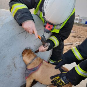 Foto: Corpo de Bombeiros Voluntários de Jaguaruna/Divulgação 