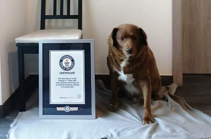 Foto: Guinness World Record | Reprodução