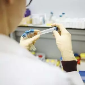 Testes estão sendo realizados com cepas vacinais cedidas pela OMS | Pexels

