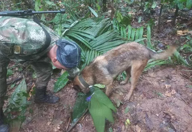 Apesar de terem sido encontradas, as crianças ainda não foram resgatadas pela dificuldade de acesso à região; Forças Armadas tentam chegar ao local | Reprodução/ SBT News

