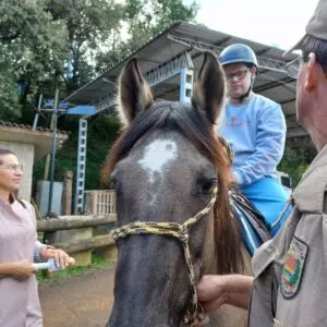 Foto: Polícia Militar de Santa Catarina (PMSC) / Reprodução 